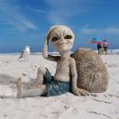 [Image: avatar_255.jpg?dateline=1656174353]